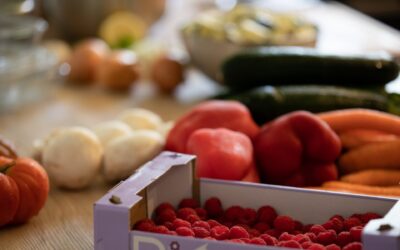 Batch cooking rapide : 5 repas en 1h30 | Méthode facile